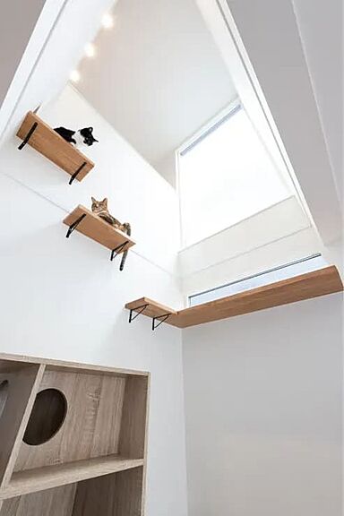 【AQURA HOME PLAZA仙台店】の施工事例「ひとも猫も快適な動線。デザイン性と遊び心を両立した住まい」の画像9