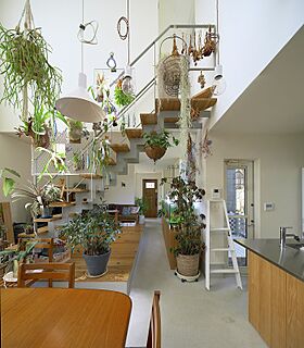 住空間設計Laboの施工事例「ひと、植物、ペットを暮らしの中心に。好きなものが映えるナチュラルな家」の画像2