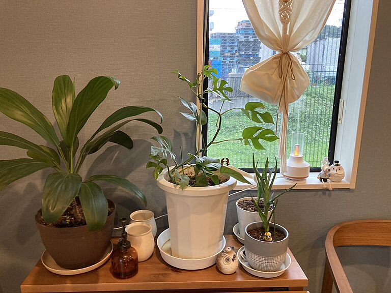 TKプランニング株式会社の公式画像_その他10