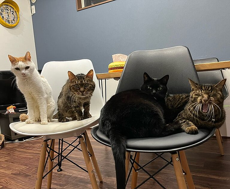 TKプランニング株式会社の公式画像_その他11