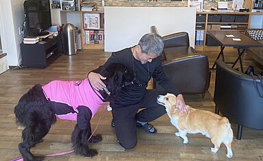 TKプランニング株式会社の施工事例「平屋住宅で愛犬と快適ライフ/ペットと暮らす家」の画像1