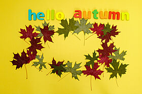 TKプランニング株式会社の施工事例「11月イベント情報」のメイン画像