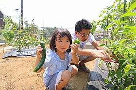 株式会社スタジオCoCo-Liの施工事例「理想の家」の画像4