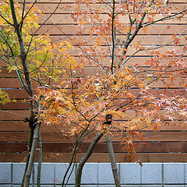 一級建築士事務所ビー・ツーの施工事例「case051」の画像5