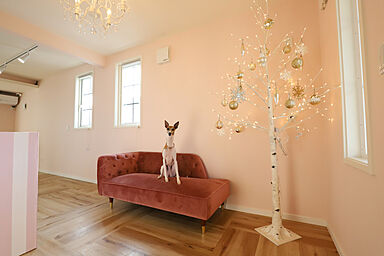 サンワ設計株式会社の施工事例「耐震性と採光にこだわった ペットサロン併用の住まい」の画像5