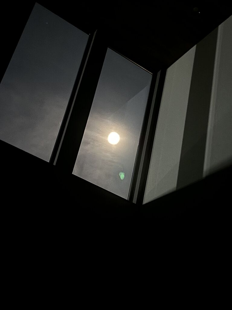 クラシスホーム株式会社 豊田店の契約者投稿画像15