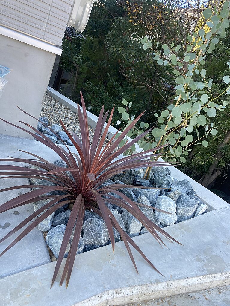 キャンディハウスの契約者投稿画像13