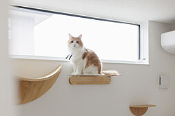 シンプルノート 岡山北・倉敷スタジオのカタログ「愛猫と暮らす平屋|シンプルノート 岡山北・倉敷スタジオ」の画像