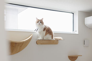 シンプルノート 岡山北・倉敷スタジオのカタログ「愛猫と暮らす平屋|シンプルノート 岡山北・倉敷スタジオ」の画像