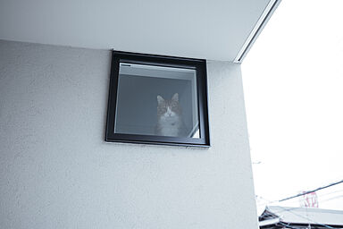 シンプルノート 岡山北・倉敷スタジオのカタログ「愛猫と暮らす平屋|シンプルノート 岡山北・倉敷スタジオ」の画像6