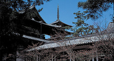 株式会社日本ハウスホールディングス 水戸支店のカタログ「檜百年住宅 グレートステージ」の画像7