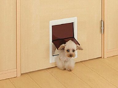 ロイヤルハウス 沖縄南店(株式会社秀建工業)のカタログ「ペットと楽しく暮らす家」の画像6