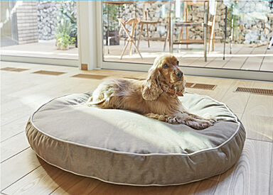 セキスイハイム パル展示場のカタログ「【セキスイハイム】平屋 Stay&workモデル」の画像2